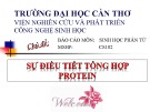 Bài tập nhóm: Sinh học phân tử - Sự điều tiết tổng hợp Protein