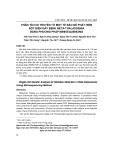 Phân tích di truyền từ một tế bào để phát hiện đột biến gây bệnh beta thalassemia bằng phương pháp minisequencing