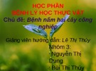 Bài giảng Bệnh lý học thực vật - Bài: Bệnh nấm hại cây công nghiệp