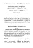 Nghiên cứu chủng xạ khuẩn có khả năng đối kháng với vi khuẩn Vibrio parahaemolyticus gây bệnh trên tôm