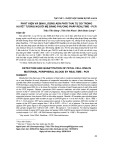 Phát hiện và định lượng ADN phôi thai tự do trong huyết tương người mẹ bằng phương pháp Realtime - PCR