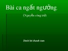 Bài giảng Ngữ văn - Bài: Bài ca ngất ngưởng