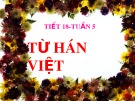 Bài giảng Ngữ văn - Bài: Từ Hán Việt