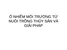 Bài giảng Quản lí nông nghiệp nông thôn - Bài: Ô nhiễm môi trường từ nuôi trồng thủy sản và giải pháp