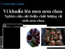 Bài giảng Công nghệ thực phẩm - Bài: Vi khuẩn lên men nem chua
