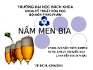 Bài giảng Công nghệ thực phẩm - Bài: Nấm men bia