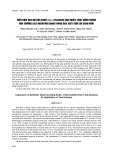 Biểu hiện gen mã hóa endo 1,4 β Xylanase chịu nhiệt, hoạt động trong môi trường axit nhằm ứng dụng trong sản xuất thức ăn chăn nuôi