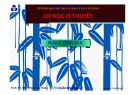Bài giảng Cơ học lý thuyết - PGS. TS. Trương Tích Thiện