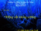 Bài giảng Sinh học - Bài: Ngành Ruột khoang