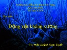 Bài giảng Sinh học - Bài: Động vật không xương