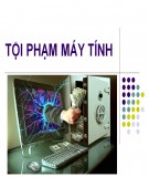 Bài giảng Tội phạm máy tính