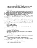 Tấm lòng vì dân vì nước và tài nhìn xa trông rộng của vua Quang Trung trong bài Chiếu cầu hiền