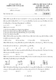 Đề kiểm tra tập trung tuần 28 môn Vật lí lớp 11 năm 2017-2018 - THPT Ngô Gia Tự - Mã đề 004