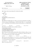 Đề kiểm tra tập trung tuần 28 môn Vật lí lớp 11 năm 2017-2018 - THPT Ngô Gia Tự - Mã đề 005