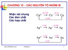 Bài giảng Hóa học vô cơ: Chương 13 - GV. Nguyễn Văn Hòa