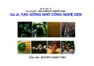 Bài giảng Sinh học 12 - Bài 20: Tạo giống thông qua công nghệ gen