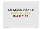 Bài giảng Vật lý 9 - Bài 48: Cấu tạo Mắt