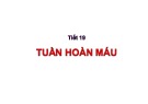 Bài giảng Tuần hoàn máu