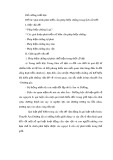 Tiểu luận Triết học số 107