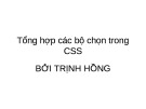 Bài giảng CSS - Bài 12: Tổng hợp các bộ chọn trong CSS