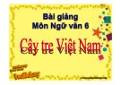 Bài giảng Ngữ văn 6: Cây tre Việt Nam