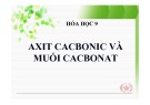 Bài giảng Hóa học 9: Axit cacbonic và muối cacbonat