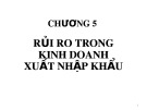 Bài giảng Quản trị rủi ro: Chương 5 - ThS. Võ Hữu Khánh