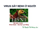 Bài giảng Virus gây bệnh ở người - TS. Nguyễn Thị Hoàng Lan