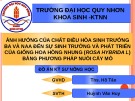 Đồ án kỹ sư nông học: Ảnh hưởng của chất điều hòa sinh trưởng BA và NAA đến sự sinh trưởng và phát triển của giống hoa hồng nhung (Rosa hybrida l) bằng phương pháp nuôi cấy mô