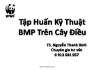 Tập huấn kỹ thuật BMP trên cây điều - TS Nguyễn Thanh Bình