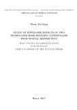 Draft summary of the doctor thesis Theoretic and mathematic physics: Study of finite size effects in two segregated bose einstein condensates with spatial restriction