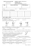 Đề kiểm tra 45 phút lần 3 môn Vật lí lớp 11 năm 2016-2017 - THPT Hàm Thuận Bắc - Mã đề 132