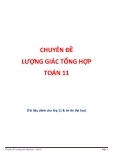 Chuyên đề Lượng giác tổng hợp Toán 11