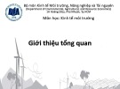 Bài giảng Kinh tế môi trường: Chương 1 - ĐH Kinh tế