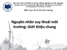 Bài giảng Kinh tế môi trường: Chương 4 - ĐH Kinh tế