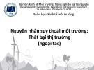 Bài giảng Kinh tế môi trường: Chương 5 - ĐH Kinh tế