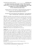 Xác định thành phần hóa học và hoạt tính sinh học trong mẫu lá cây xáo tam phân (Paramignya trimera (oliv.) guill) và nghiên cứu sự phát sinh hình thái từ các nguồn mẫu khác nhau