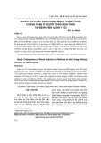 Nghiên cứu các dạng động mạch thận trong cuống thận ở người sống hiến thận tại bệnh viện Quân y 103