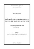 Tóm tắt Luận văn Thạc sĩ Quản trị kinh doanh: Phát triển thương hiệu Biscafun tại Nhà máy bánh kẹo Quảng Ngãi