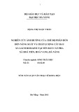 Tóm tắt luận văn Thạc sĩ Khoa học: Nghiên cứu ảnh hưởng của chế độ phân bón đến năng suất và chất lượng cây rau xà lách Rômaine tại nền đất cát pha xã Hoà Tiến, Hoà Vang, Đà Nẵng