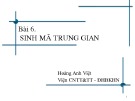 Bài giảng Nhập môn chương trình dịch: Chương 6 - Hoàng Anh Việt