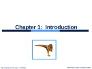 Lecture Operating system concepts (9/ed) - Chapter 1: Introduction