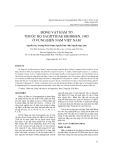 Động vật hàm tơ thuộc họ sagittidae grobben, 1905 ở vùng biển Nam Việt Nam