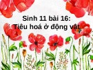 Bài giảng Sinh học 11 bài 16: Tiêu hoá ở động vật