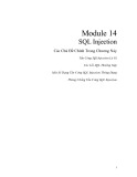 SQL injection attack: Module 14
