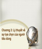 Bài giảng Kinh tế học đại cương: Chương 3 - ThS.Trương Thị Hòa