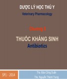 Bài giảng Dược lý học thú y: Chương 10 - ThS. Đào Công Duẩn, ThS Nguyễn Thành Trung