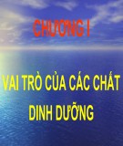 Bài giảng Dinh dưỡng động vật: Chương 1.2 - TS. Lê Việt Phương