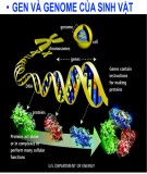 Bài giảng Sinh học phân tử: Chương 3