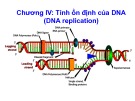 Bài giảng Sinh học phân tử: Chương 4